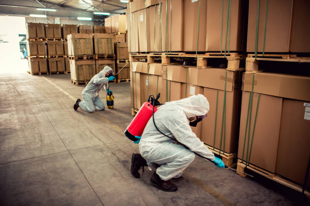 Best Mosquito Control Services  in Cornelius, NC