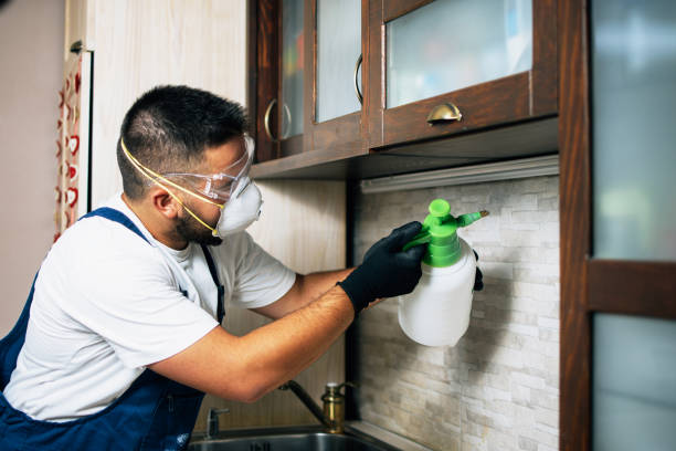 Best Rat Extermination Near Me  in Cornelius, NC