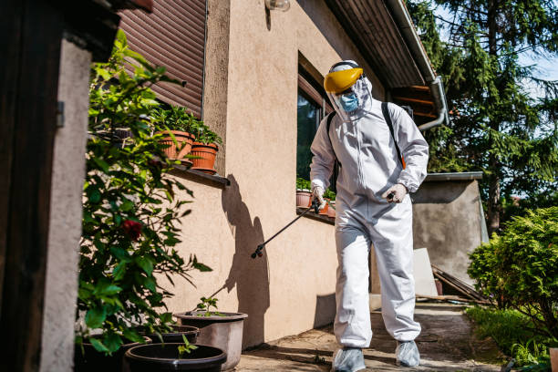 Best Flea Control Services  in Cornelius, NC