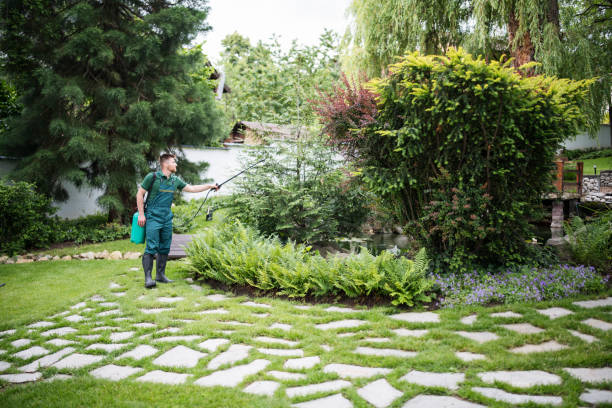 Best Best Pest Control Companies  in Cornelius, NC
