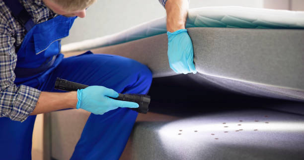 Best Cockroach Control Services  in Cornelius, NC