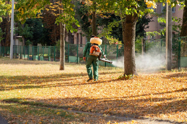 Best Wasp Removal Services  in Cornelius, NC