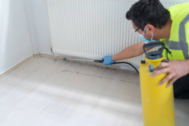 Best Cockroach Control Services  in Cornelius, NC