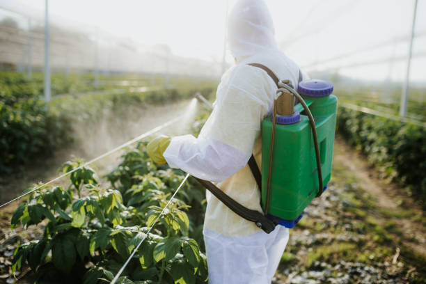 Pest Control for Restaurants in Cornelius, NC